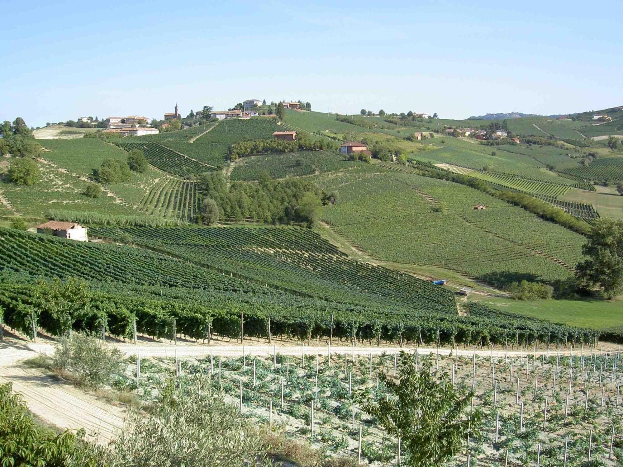 Agriturismo Vecchio Torchio กาเนลลี ภายนอก รูปภาพ