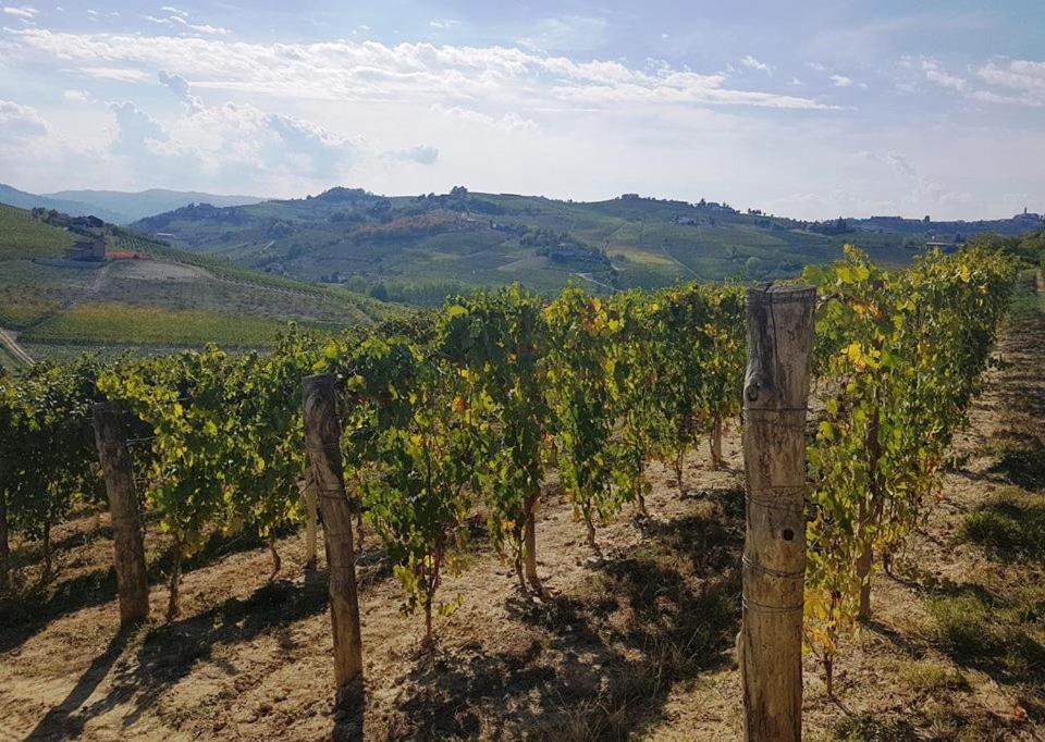 Agriturismo Vecchio Torchio กาเนลลี ภายนอก รูปภาพ